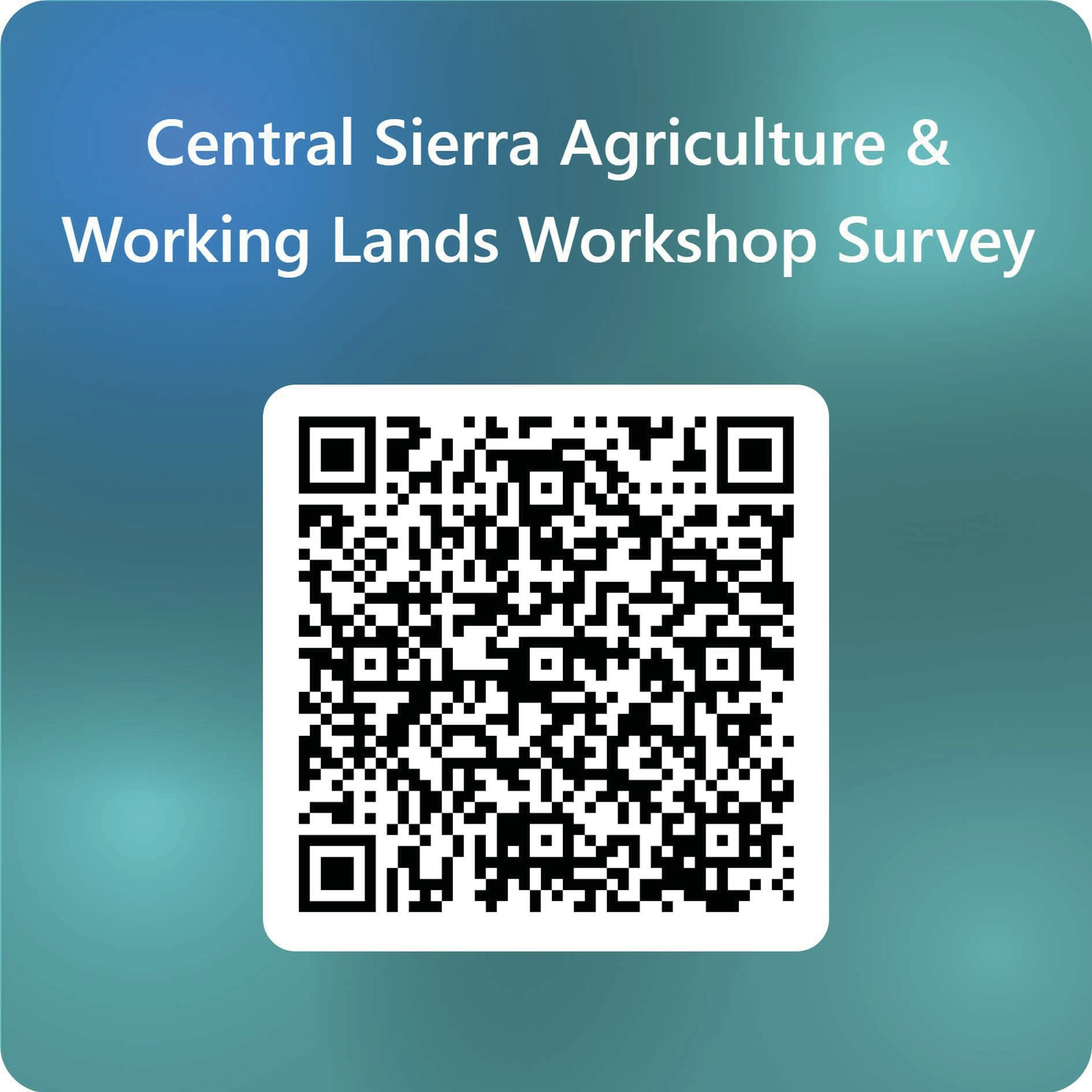 May contain: text and qr code