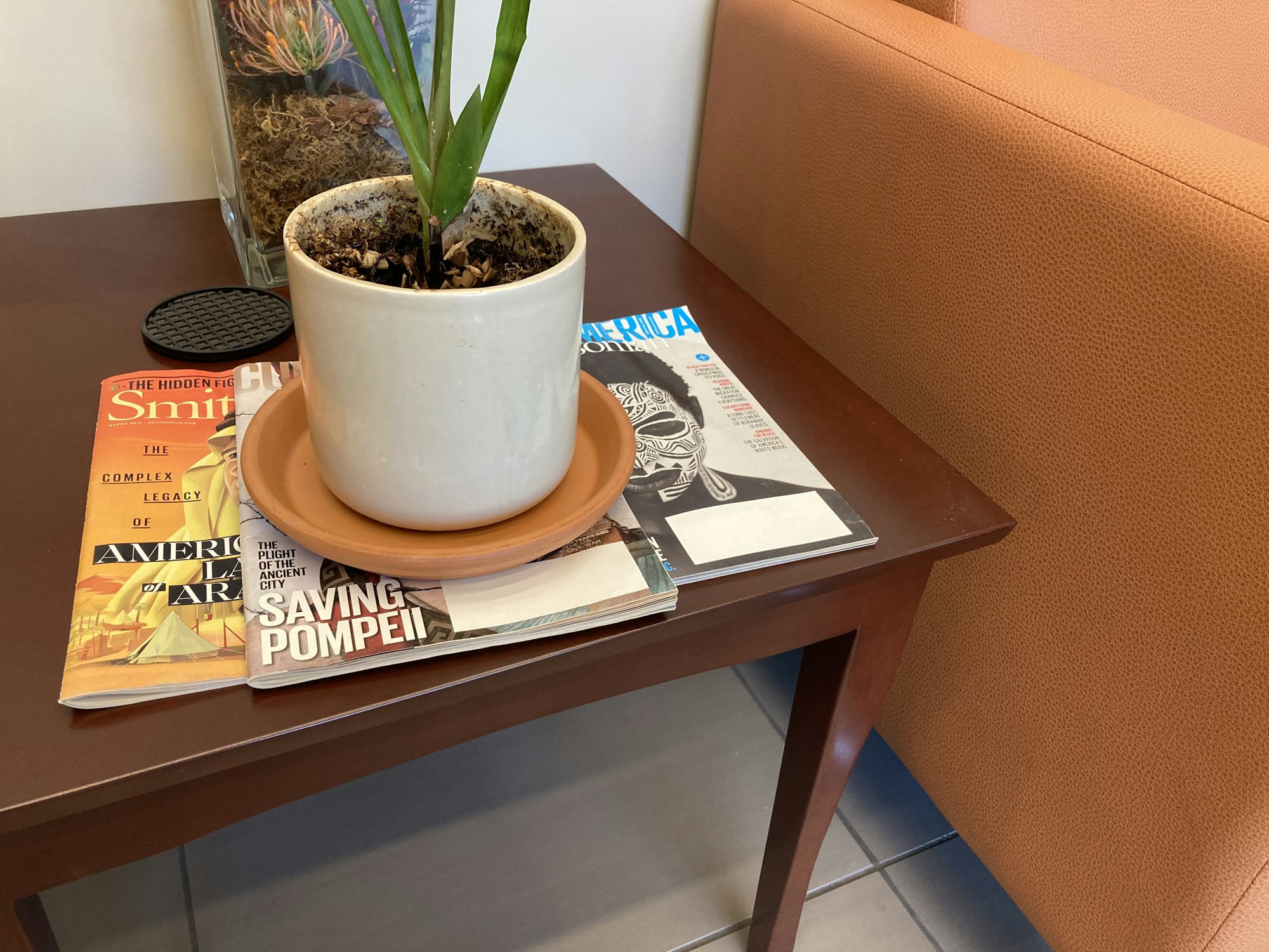 May contain: furniture, aloe, plant, table, and coffee table