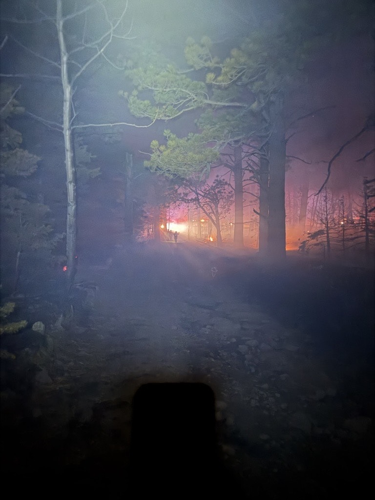 A foggy forest scene with smoke and fire in the background, creating an eerie atmosphere.