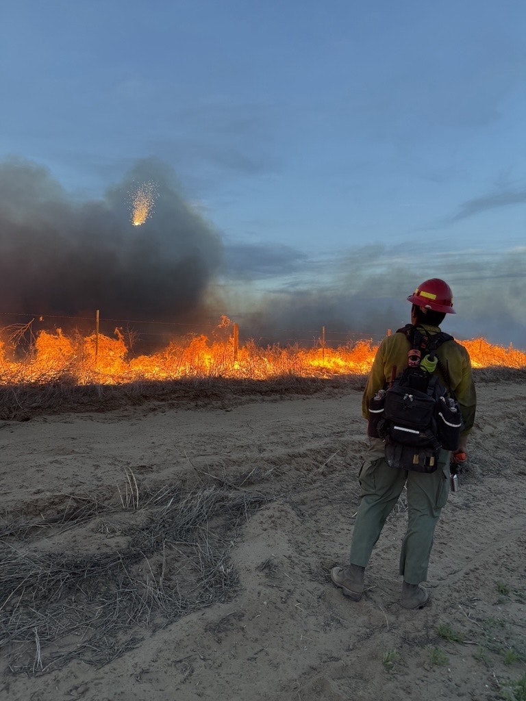 A firefighter stands observing a large fire against a dark sky, with flames engulfing the landscape.