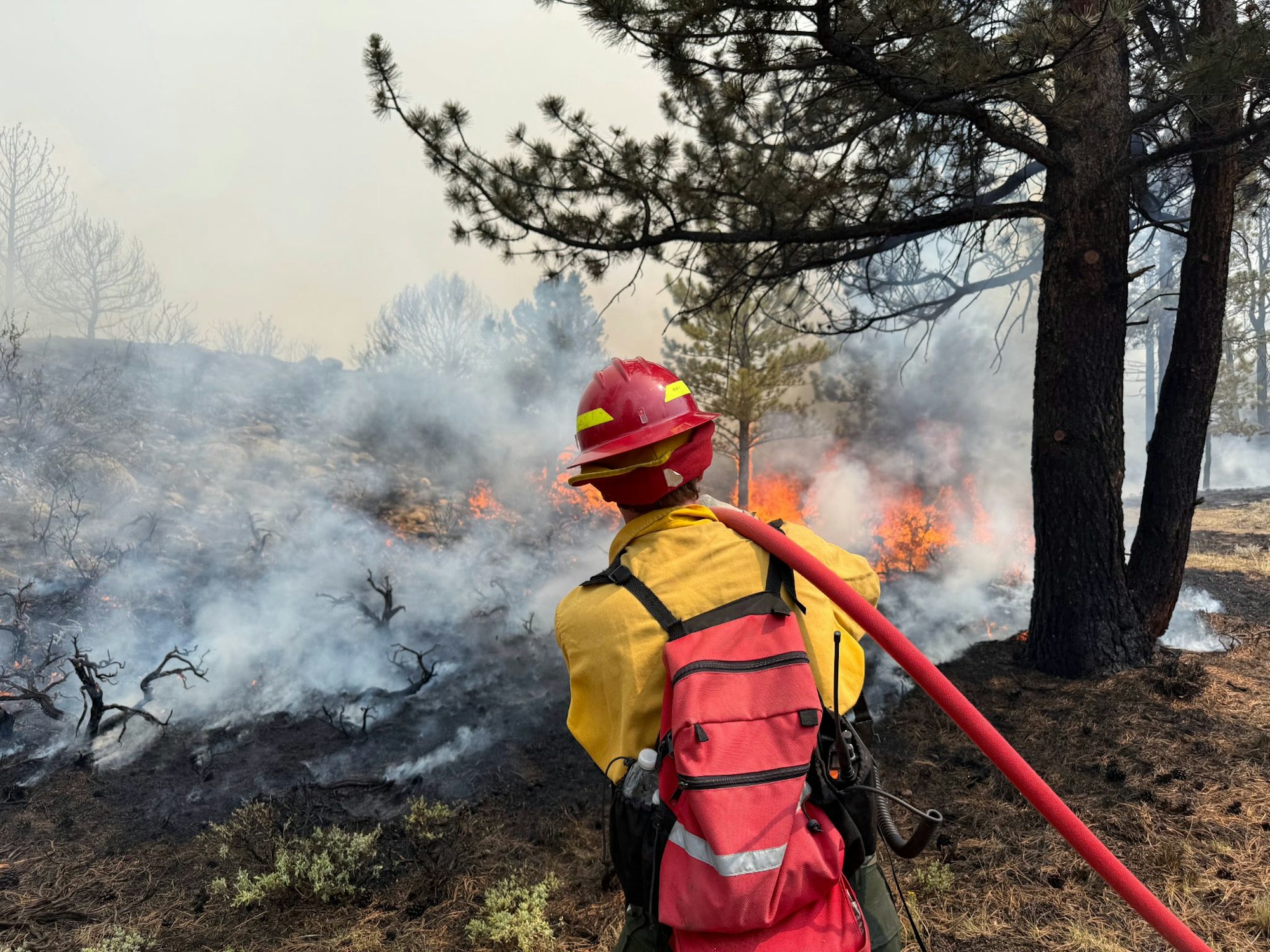 Firefighter in yellow gear battles a forest fire with a hose, surrounded by smoke and flames.