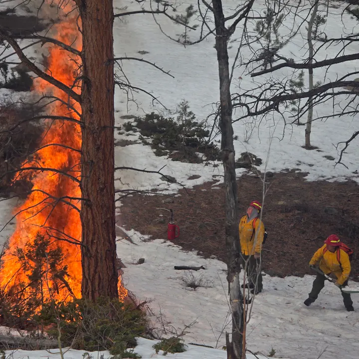 Two firefighters in gear monitor a controlled burn near a tree in a snowy area.