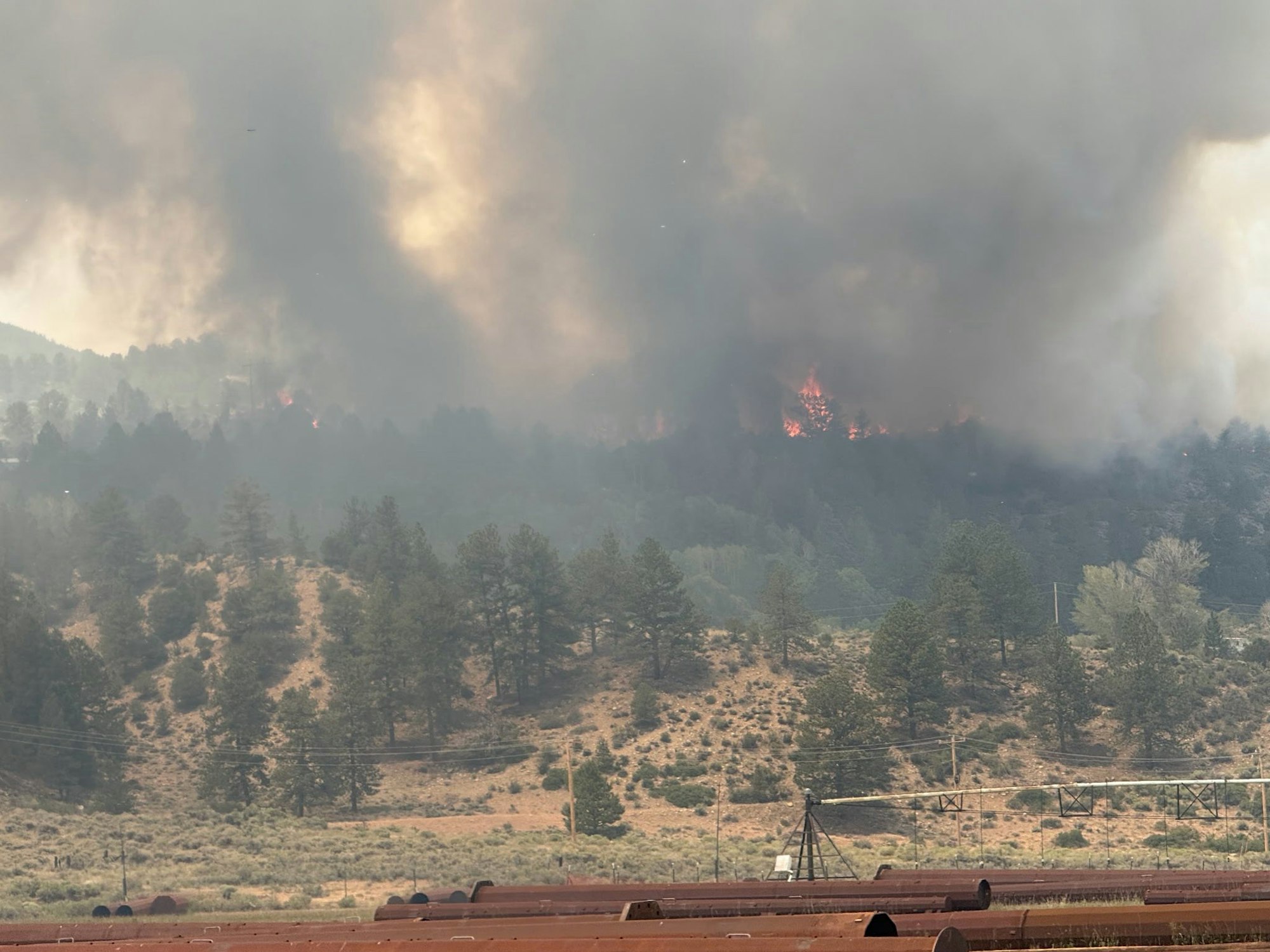 Wildfire in a forested area with large smoke plumes and visible flames among the trees.