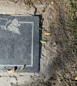 A granite plaque with floral engravings, surrounded by dirt and scattered leaves.