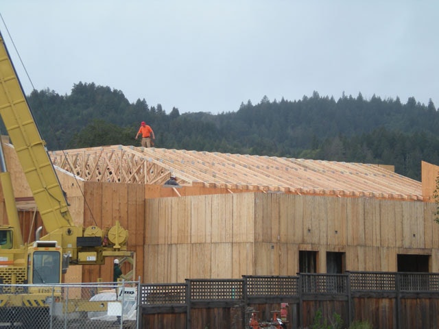 May contain: wood, person, human, plywood, and roof