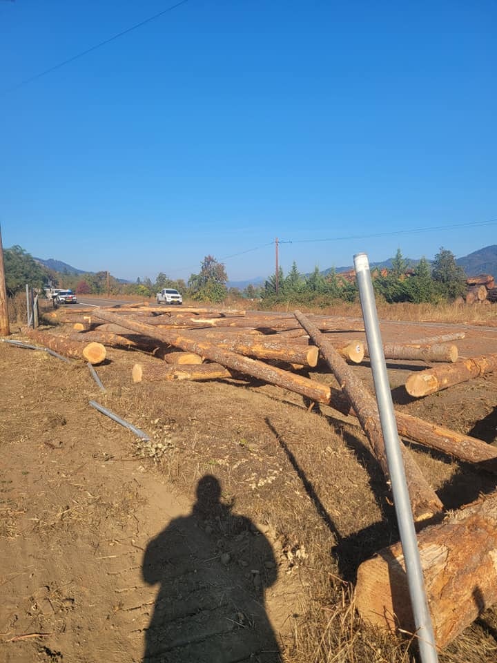 May contain: wood and lumber