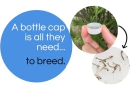 bottle cap breeding