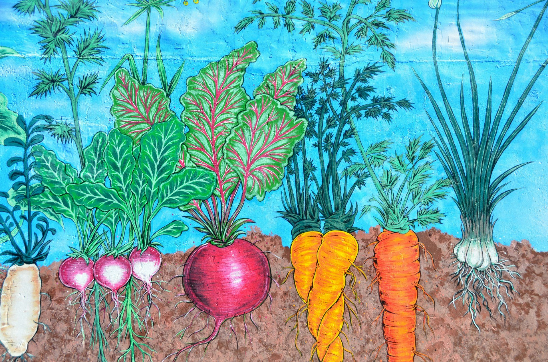 Colorful mural of various root vegetables like radishes, beets, carrots, and an onion with their foliage above ground.