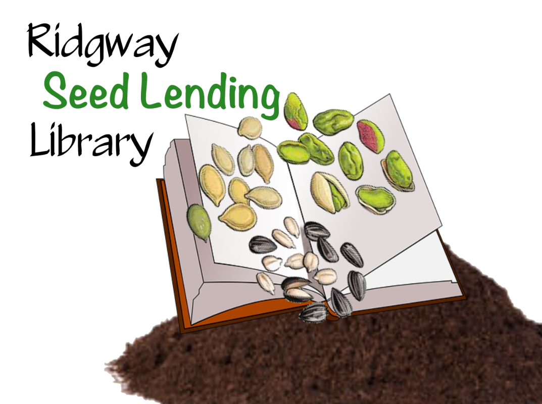 Ridgway Seed Lending Library image. Illustration of various seeds on an open book.