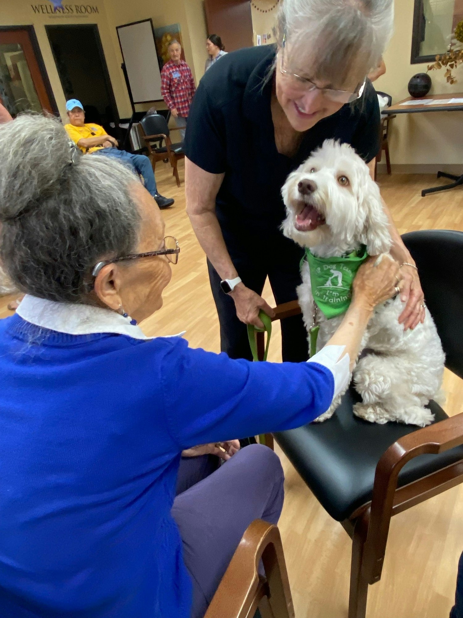 Two women and a happy dog in a therapy session; one woman is seated touching the dog, another stands smiling.