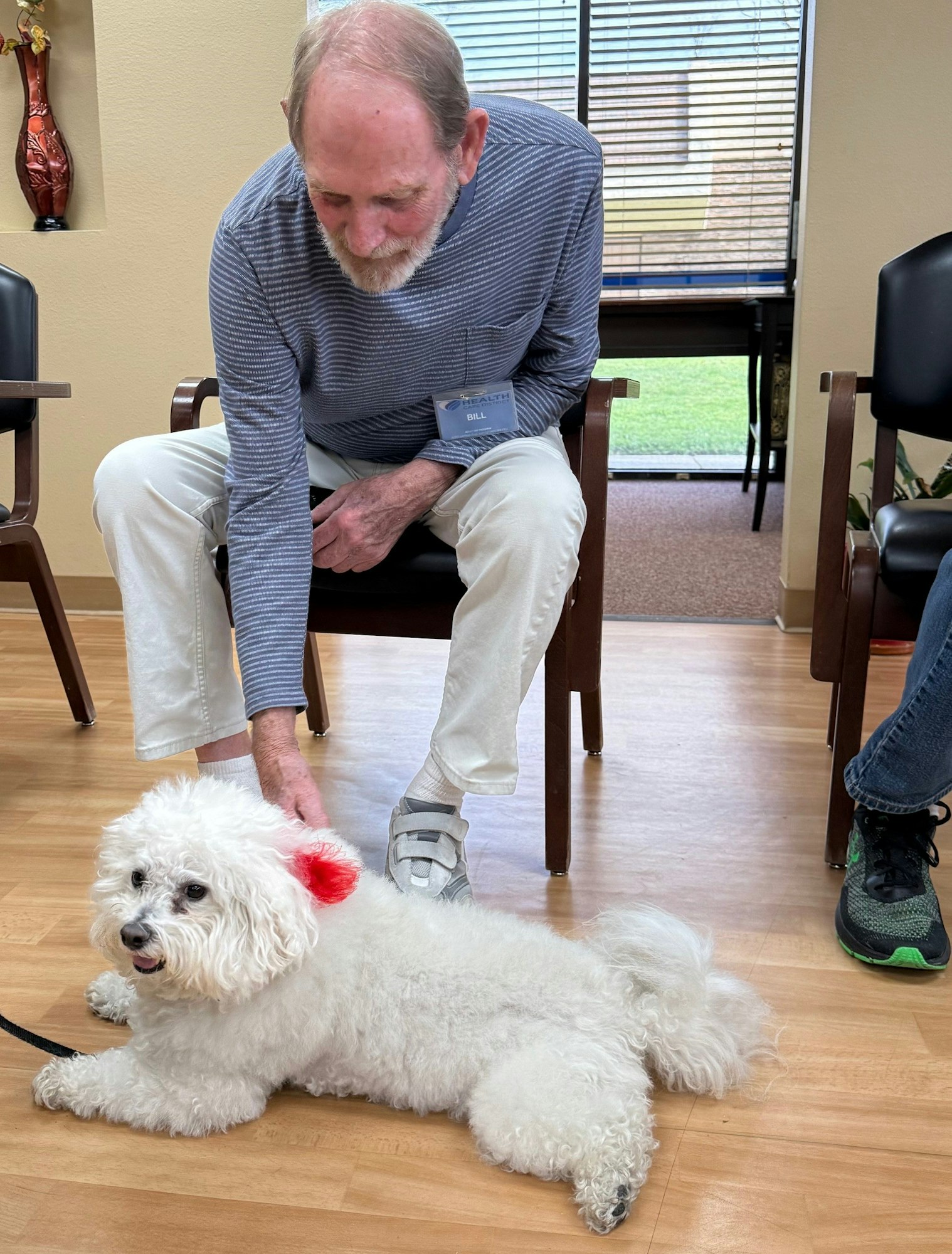 A person petting a fluffy white dog with a red bow in its fur, indoors.