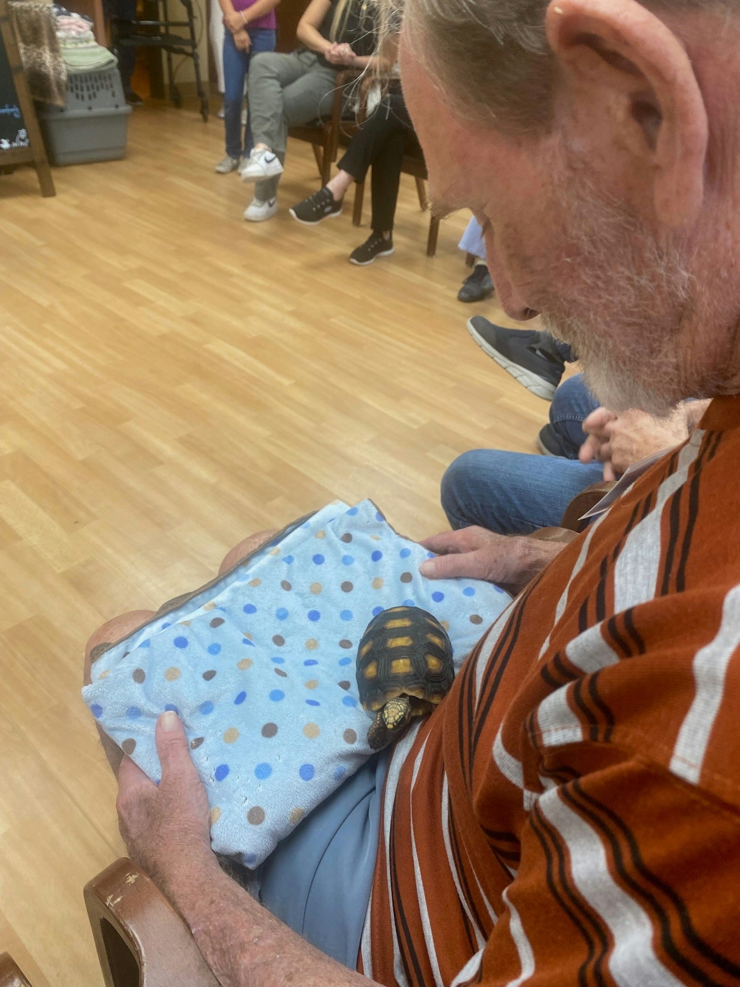An older man holding a tortoise on a patterned blue towel on his lap in a room with other people.