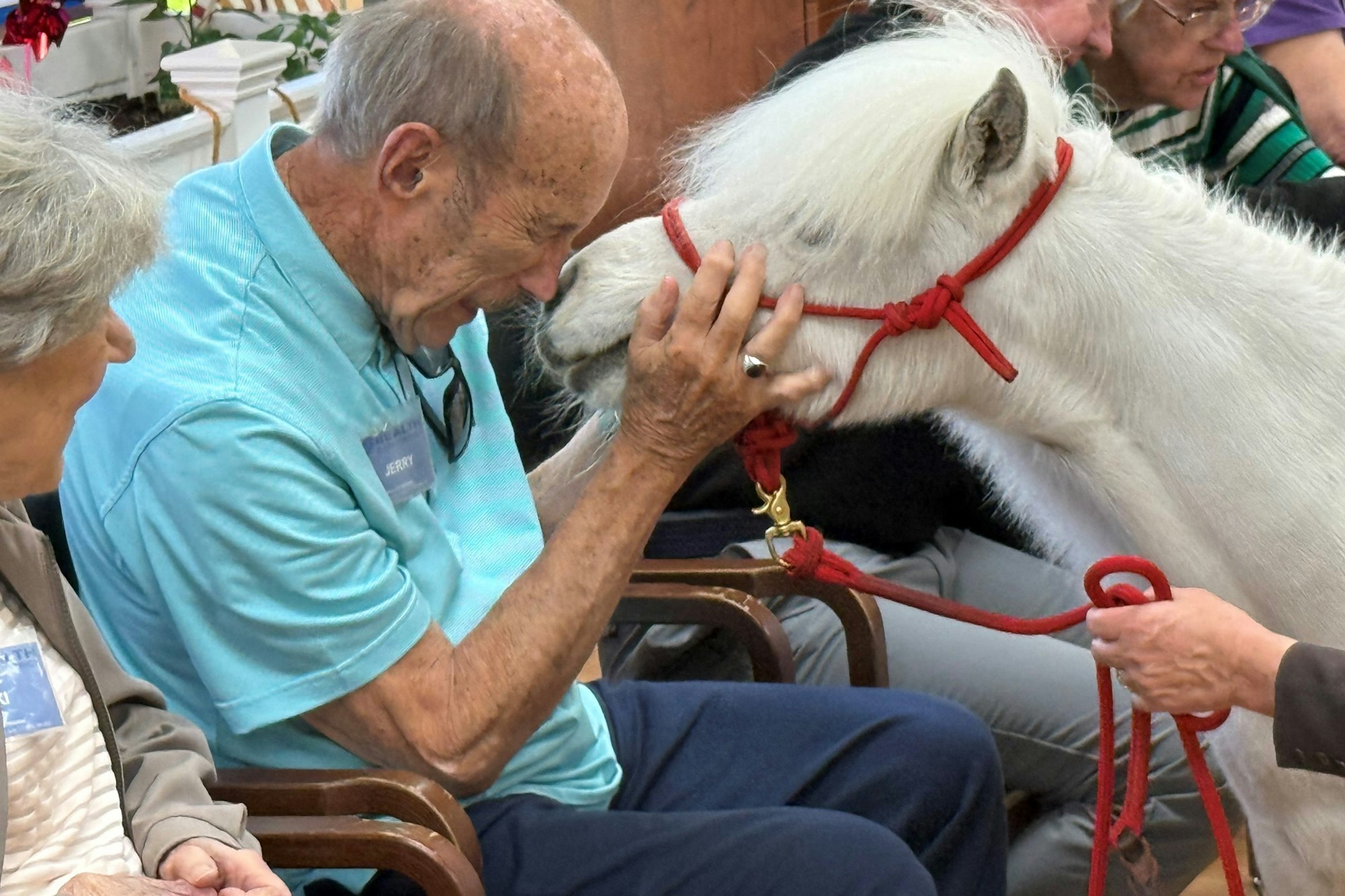 An elderly man touching noses with a small white pony while sitting with others.