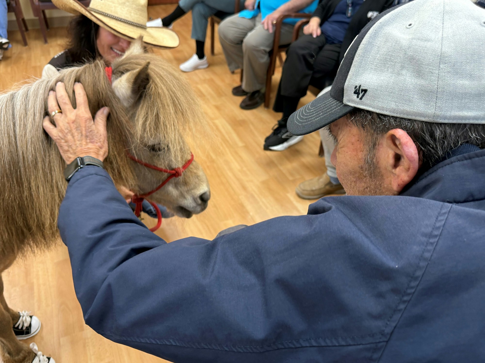 A man in a cap pets a small horse indoors, with a woman in a cowboy hat nearby.