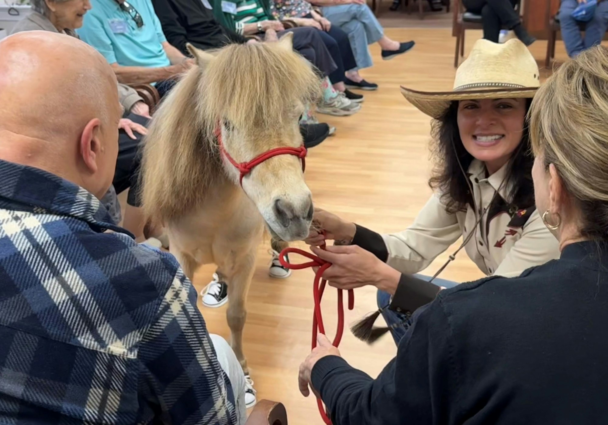 A woman with a hat holds a small horse's lead rope, surrounded by seated people.