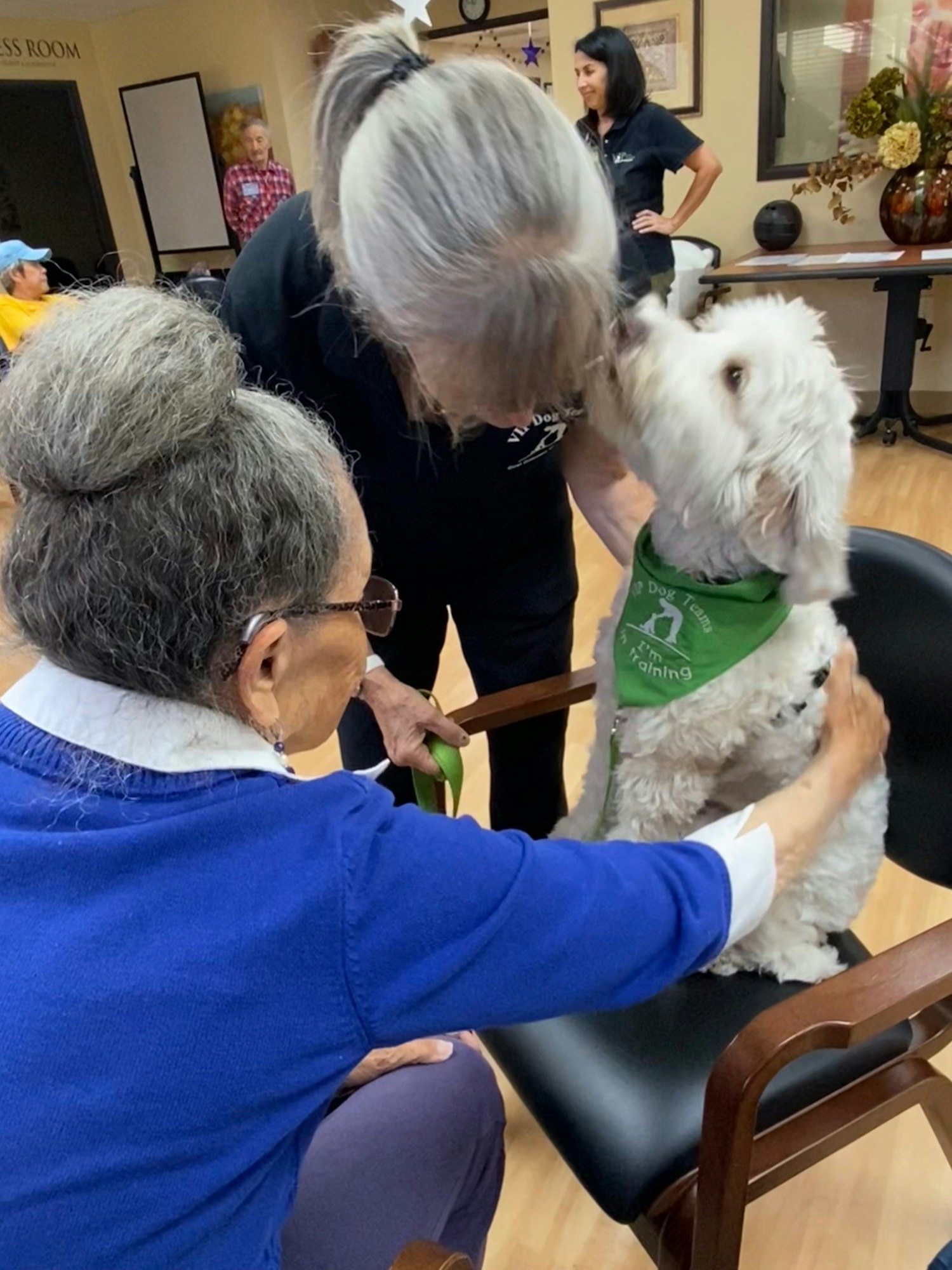 A therapy dog interacts with seniors, bringing joy and companionship.
