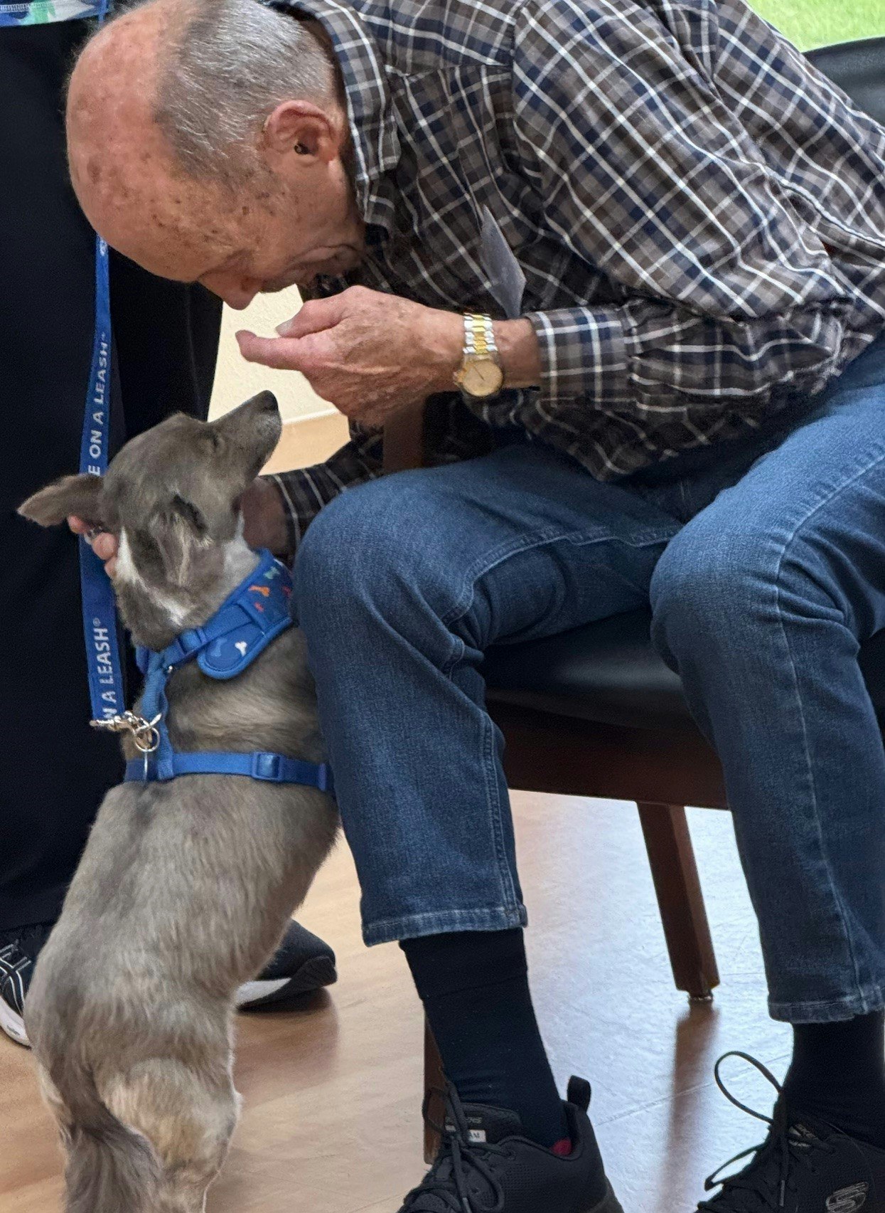 An elderly man is sitting and gently interacting with a small dog.