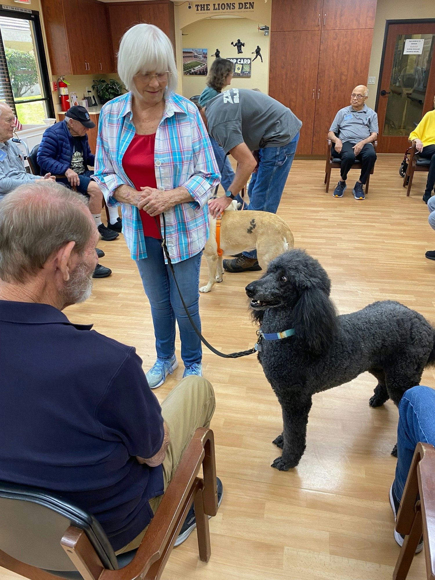 May contain: wood, adult, female, person, woman, plywood, clothing, footwear, shoe, male, man, chair, furniture, floor, pants, animal, canine, dog, mammal, pet, accessories, glasses, wristwatch, flooring, hat, bag, and handbag