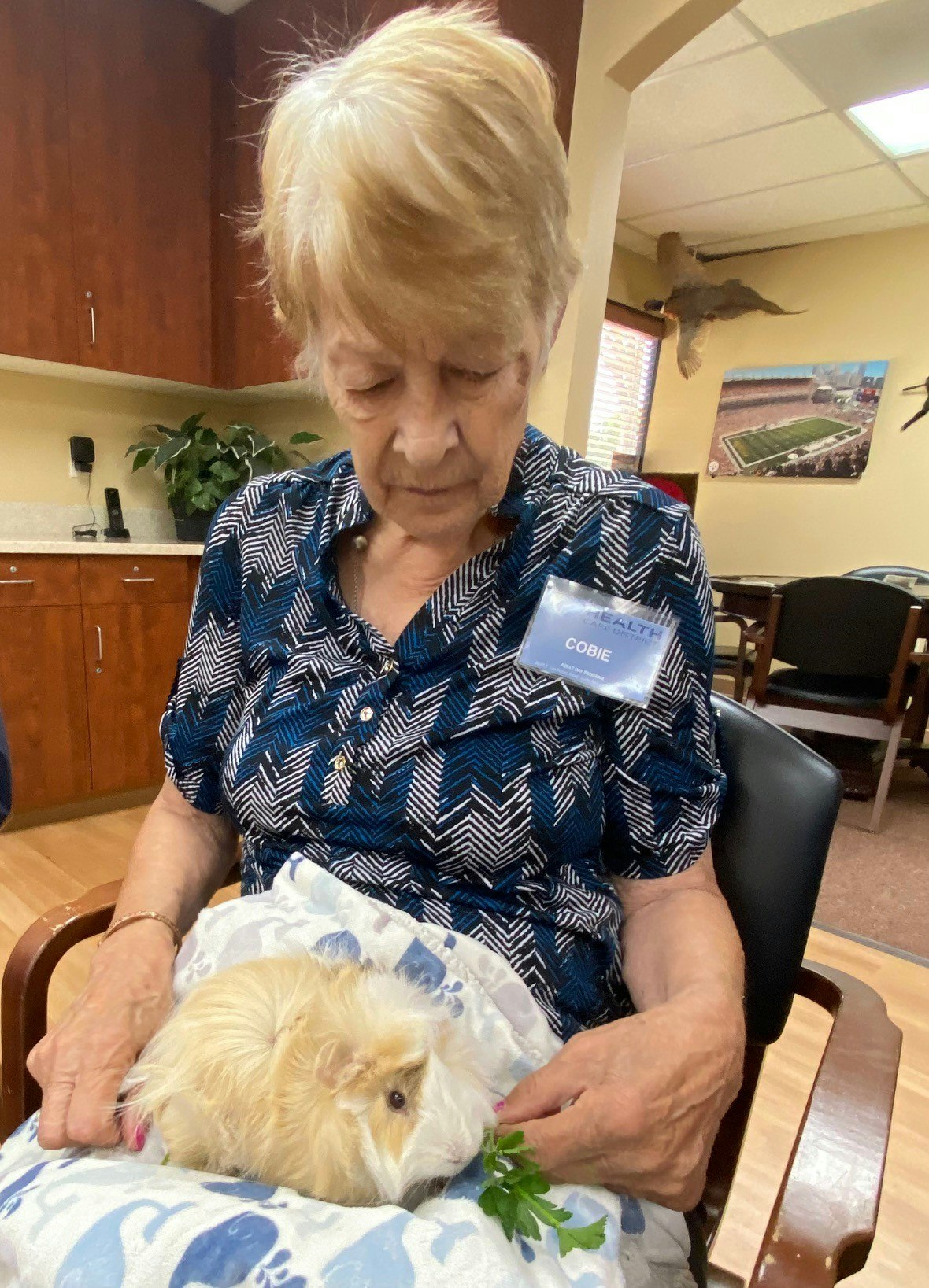 An elderly woman petting a guinea pig on her lap.
