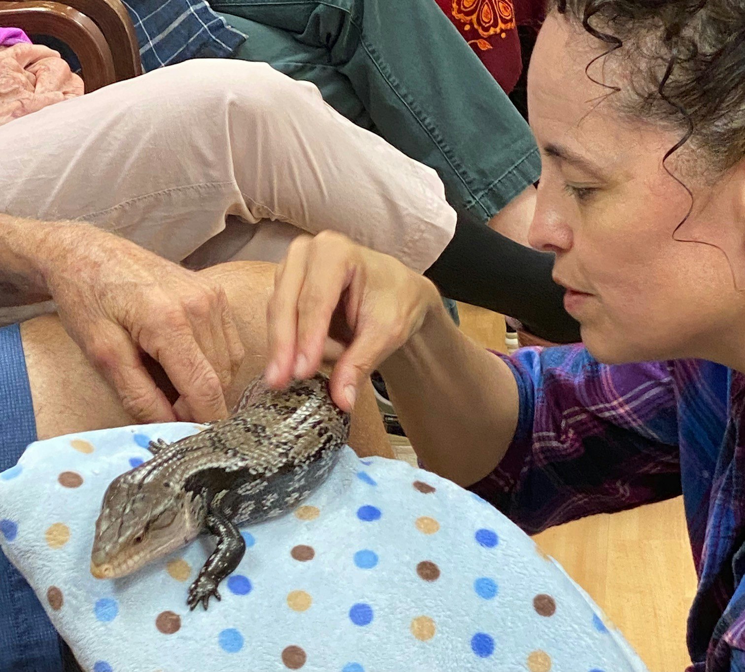 A woman petting a lizard on a polka-dot cloth; another person's hand is visible.