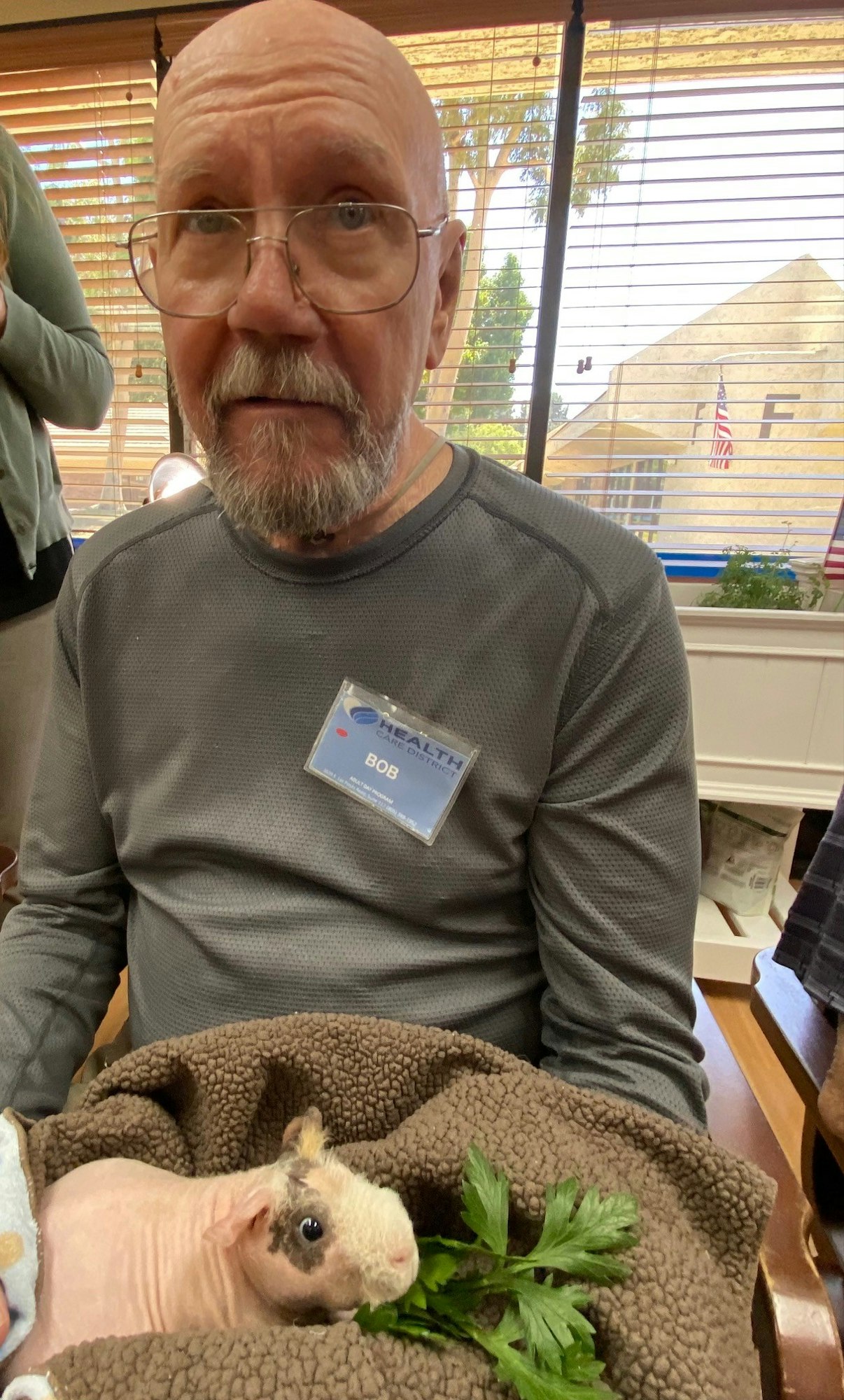 A man with a badge labeled "BOB" is holding a hairless guinea pig eating parsley.