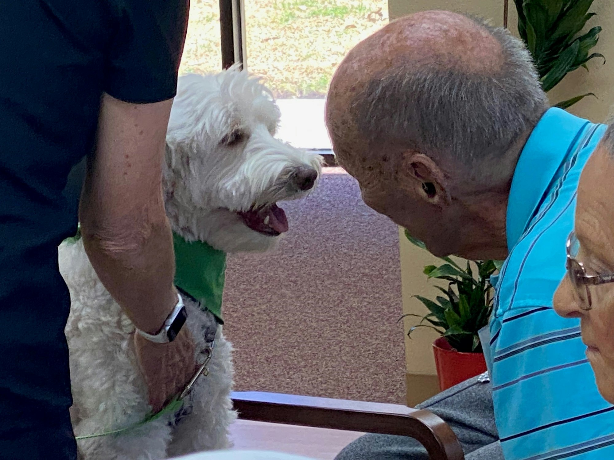 An elderly man and a white fluffy dog face to face, with a person's arm holding the dog's leash.