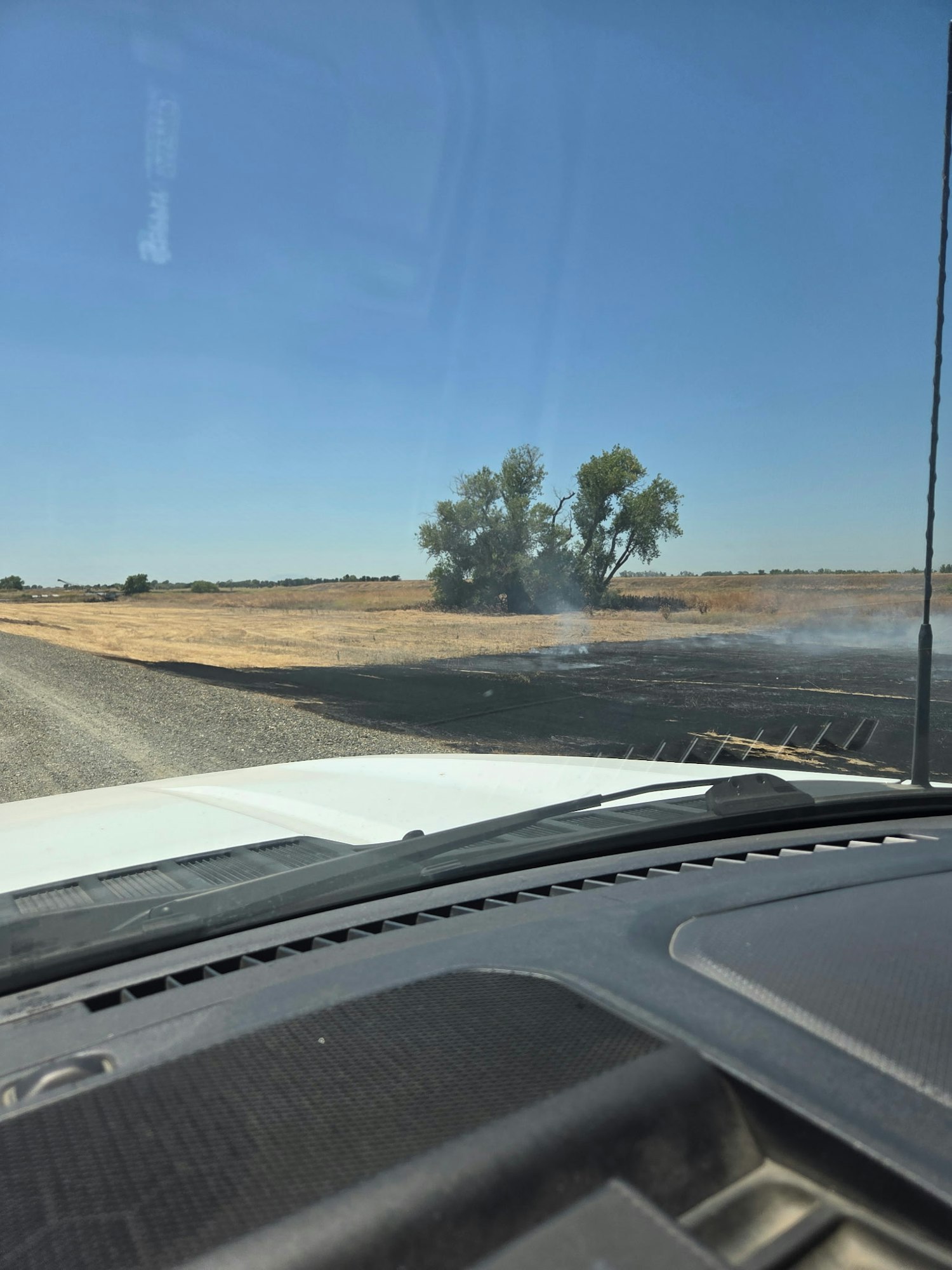 A view of a rural landscape with a tree and smoke rising from a burnt area, seen from a vehicle. Clear blue sky above.