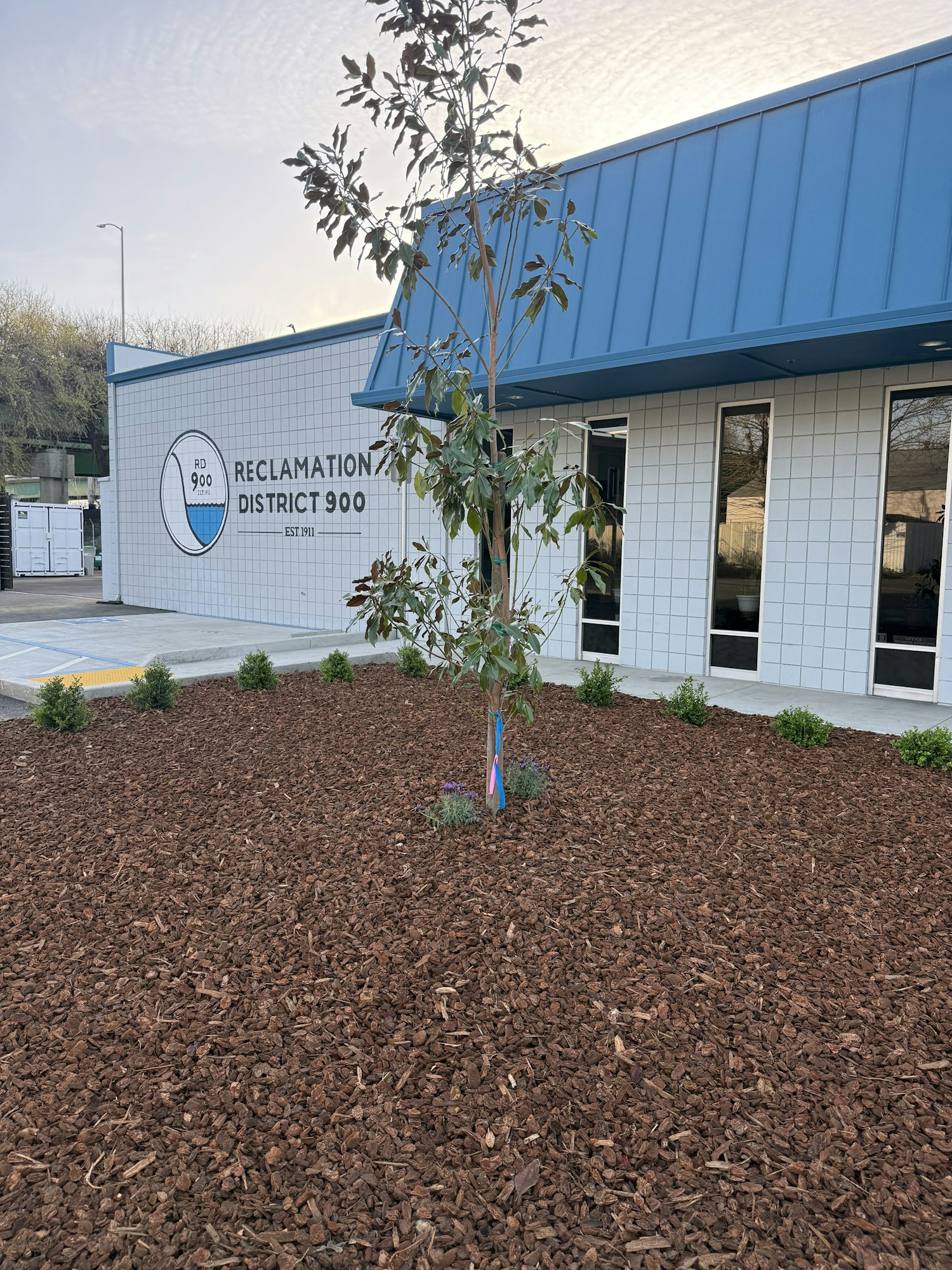A building with "Reclamation District 900" signage, a small tree in mulch, and ornamental plants around it.