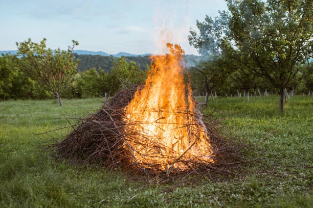 A pile of branches burning in a grassy field with trees and hills in the background.