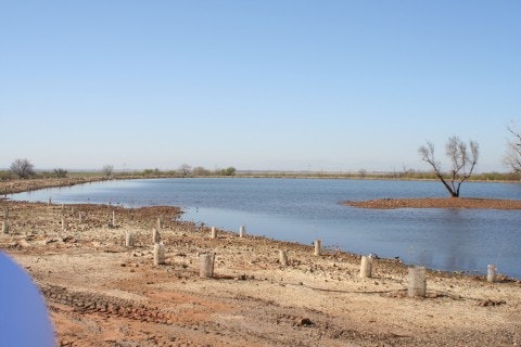 A small lake surrounded by barren land and sparse trees under a clear blue sky.