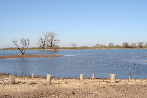 A calm lake with a few trees on small islands under a clear blue sky, surrounded by a barren, dry shoreline.
