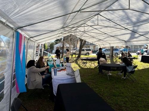 A tent with tables and chairs, people sitting and interacting under a transparent canopy in an outdoor setting.