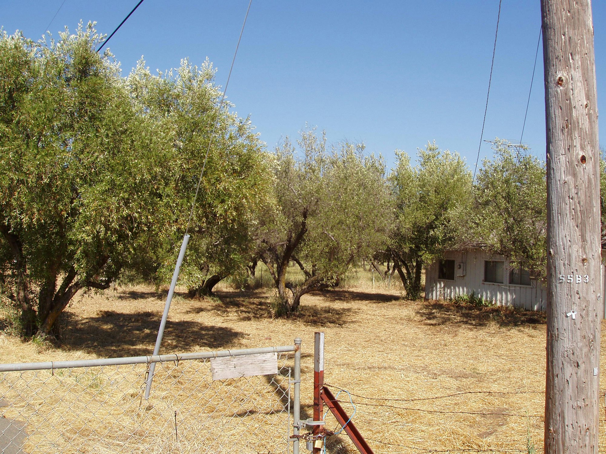 A small house surrounded by trees and dry grass, with a chain-link gate and wooden utility pole.