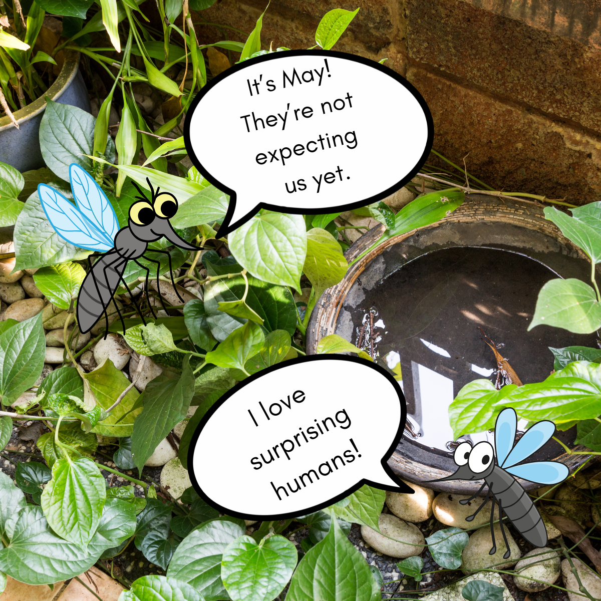Two animated mosquitoes chat in a garden, excited about surprising humans as summer approaches.