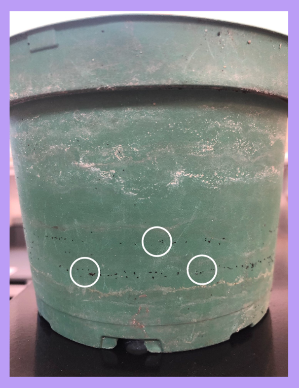 The image shows a green plant pot with three marked areas, possibly indicating small holes or imperfections on its surface.