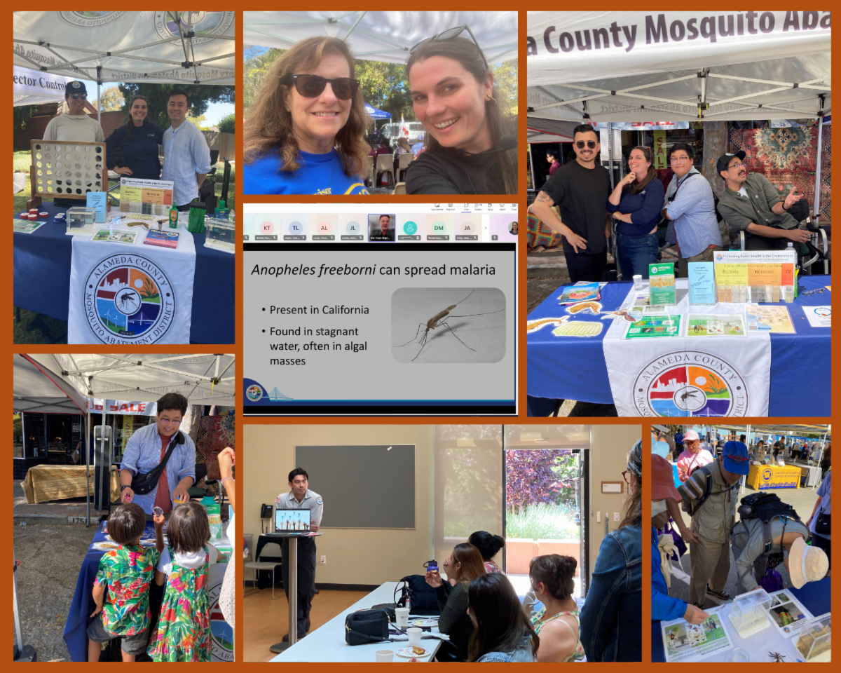A collage displaying community outreach and education efforts by a mosquito control agency.