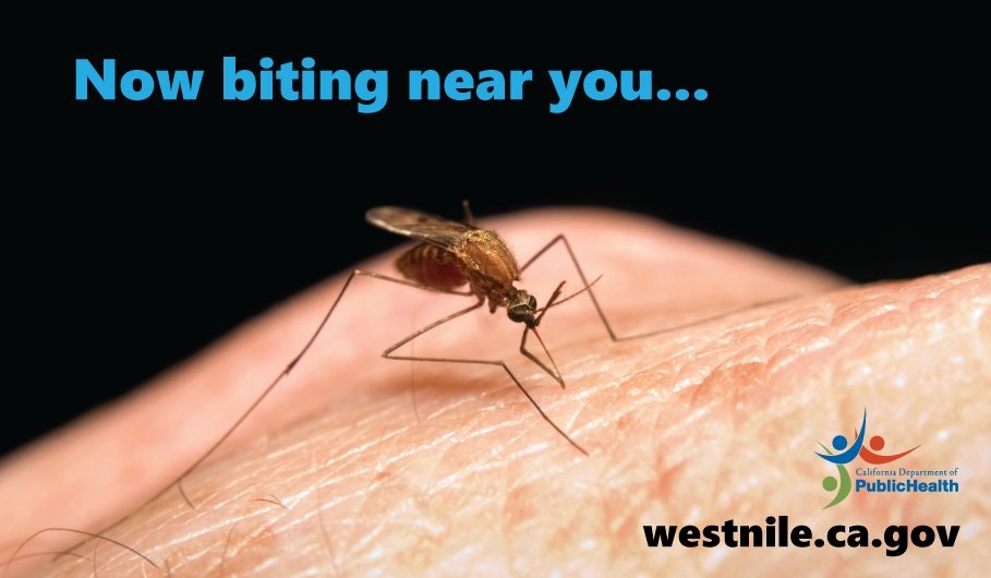 A mosquito on skin with text about West Nile virus.