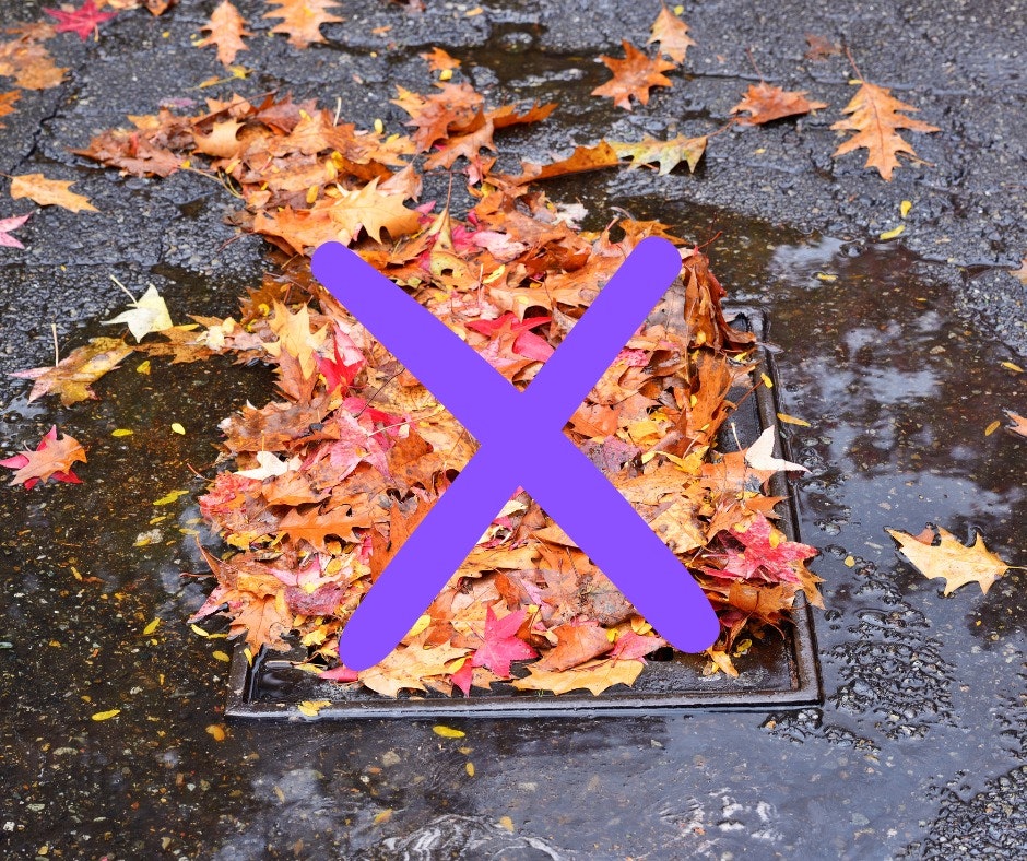 A pile of autumn leaves covers a street drain with a purple X marking it.