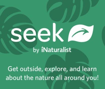 The image promotes "Seek" by iNaturalist, encouraging exploration and learning about nature.