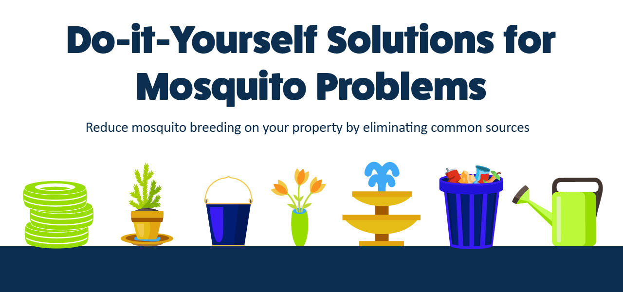 DIY solutions to reduce mosquito breeding by removing common sources, shown with images of containers, plants, and a fountain.
