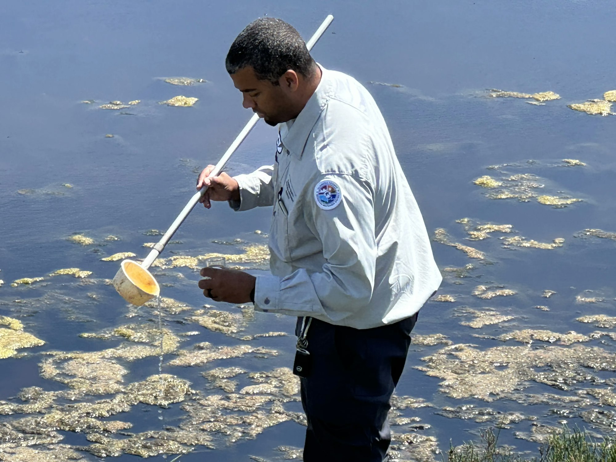 A person studies water quality using a scoop in a body of water with visible algae or vegetation.