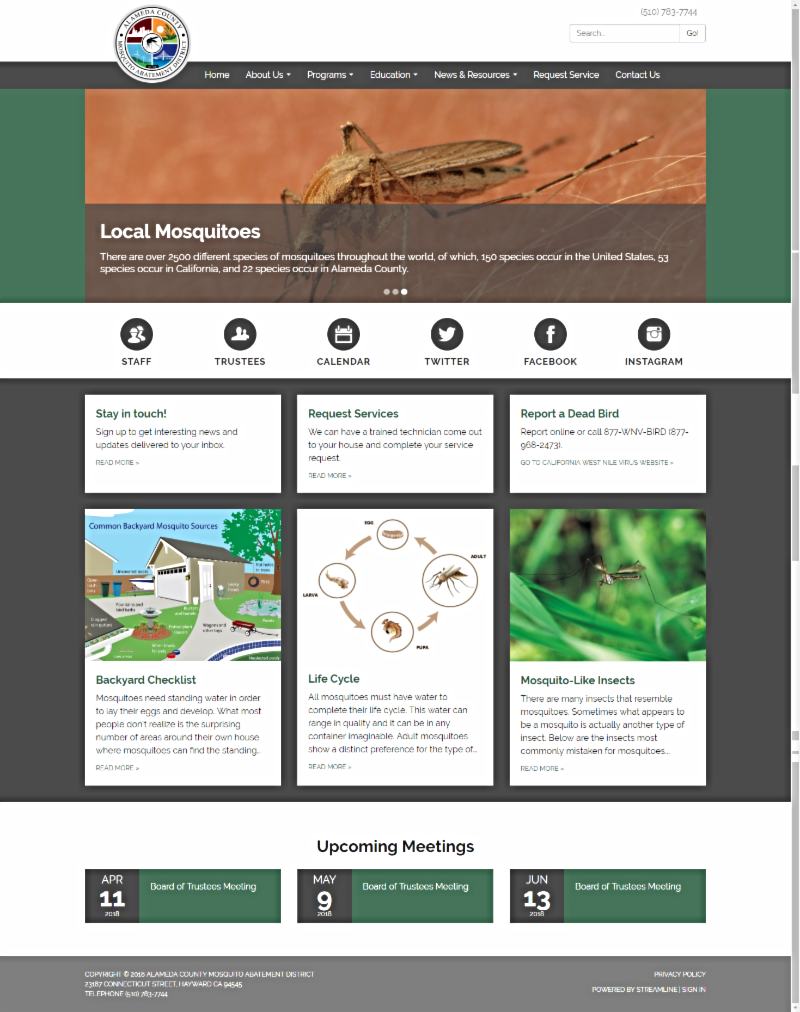 May contain: advertisement, poster, paper, brochure, and flyer