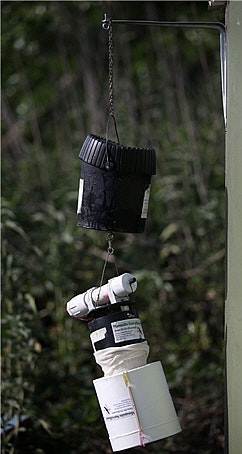 Hanging cans and containers, possibly for a DIY project or storage.