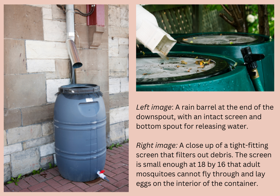 The images show a rain barrel with a spout for water release and a screen to filter debris, preventing mosquito breeding.