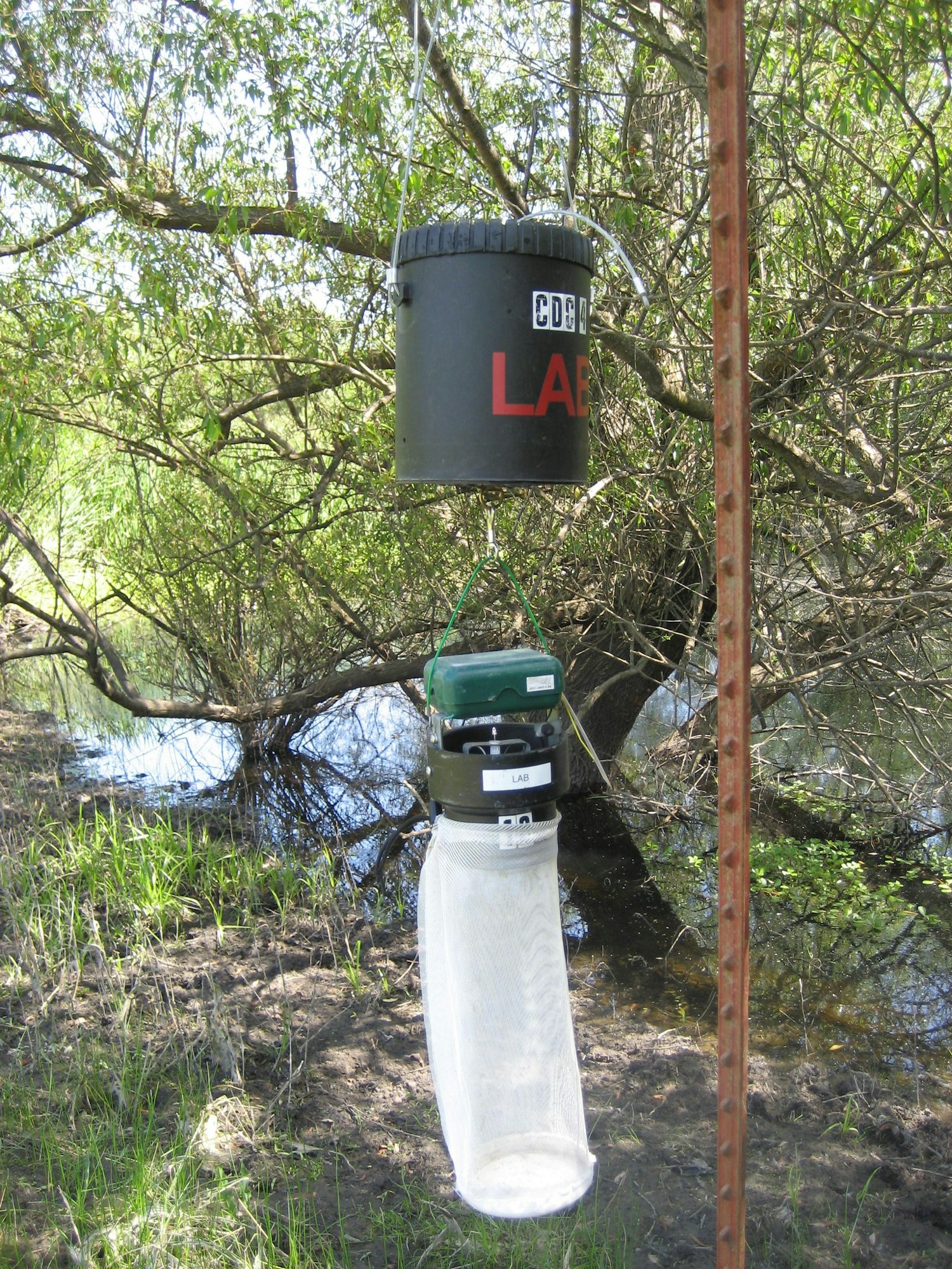 A suspended insect trap with a collection net in a natural setting.