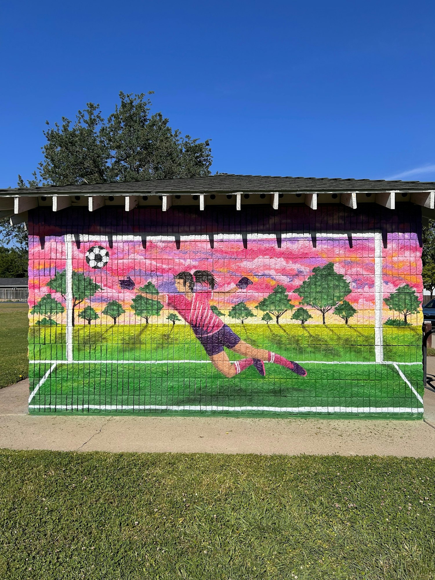 Mural of a soccer goalie diving to block a ball with a vibrant sunset and trees in the background.