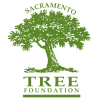 May contain: green, plant, tree, and vegetation