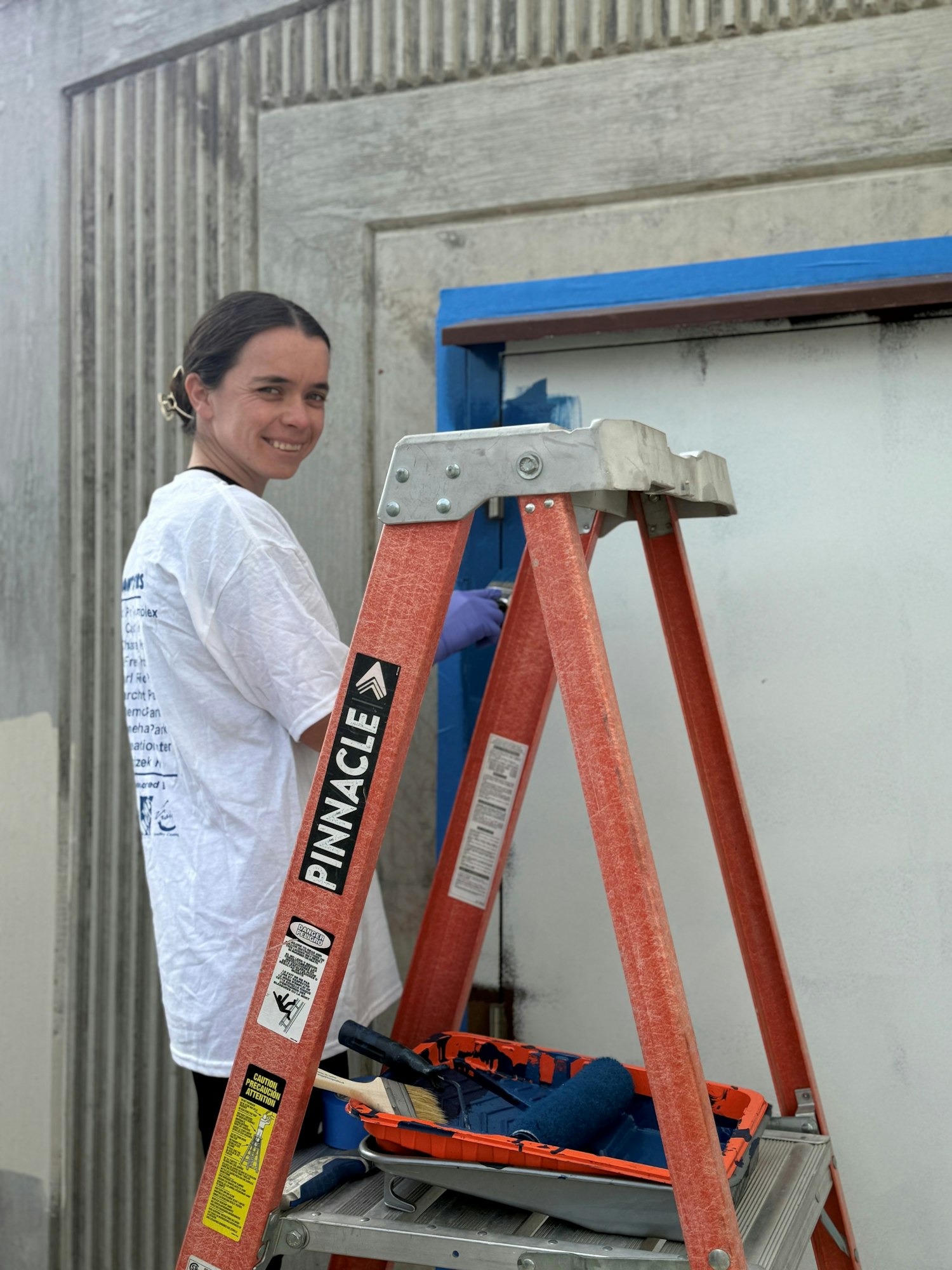 Person painting a wall, standing on a ladder with a paint tray and brushes.