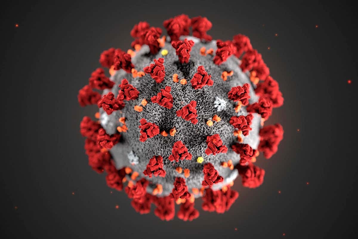 COVID-19 Cell