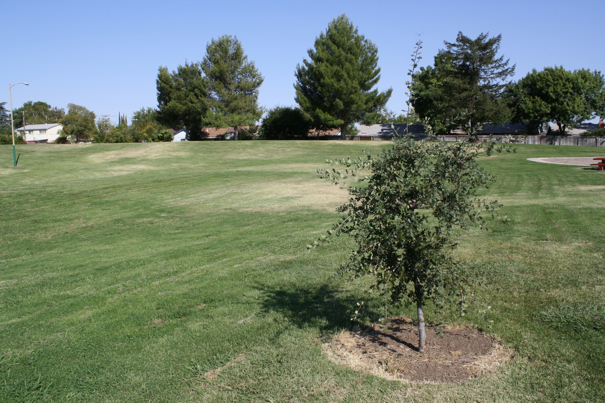 Memorial Park open grass space